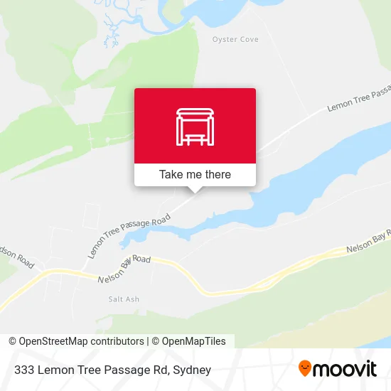 Mapa 333 Lemon Tree Passage Rd