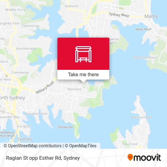 Mapa Raglan St opp Esther Rd