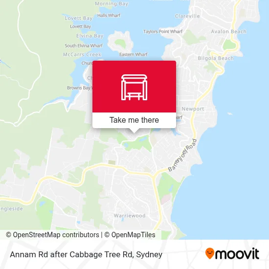 Mapa Annam Rd after Cabbage Tree Rd