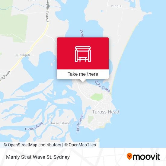 Mapa Manly St at Wave St