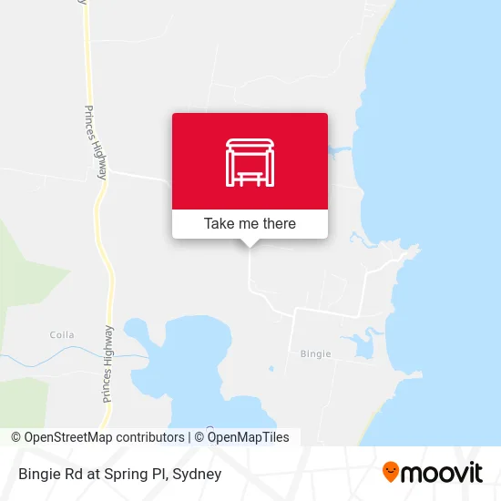 Mapa Bingie Rd at Spring Pl