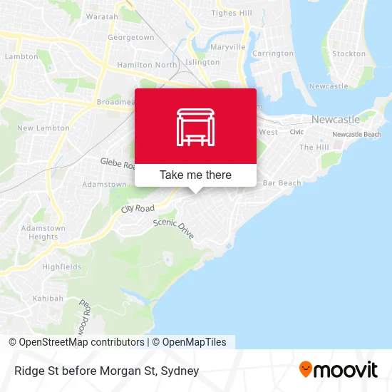 Ridge St before Morgan St map