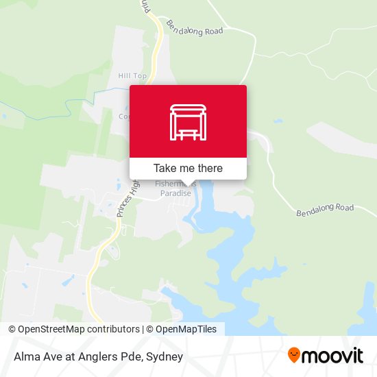 Alma Ave at Anglers Pde map