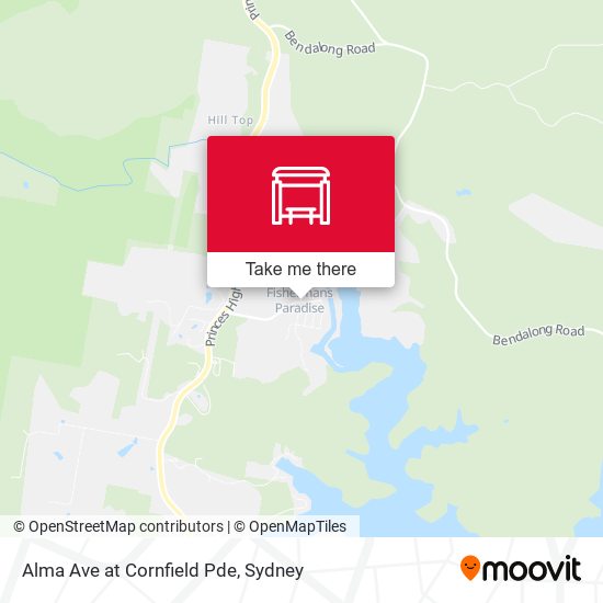 Alma Ave at Cornfield Pde map