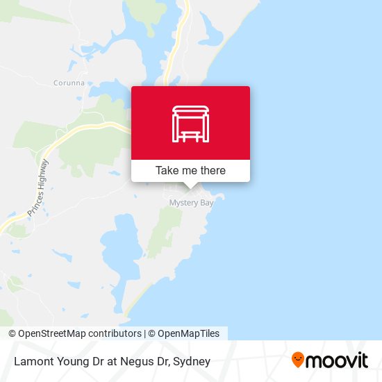 Lamont Young Dr at Negus Dr map