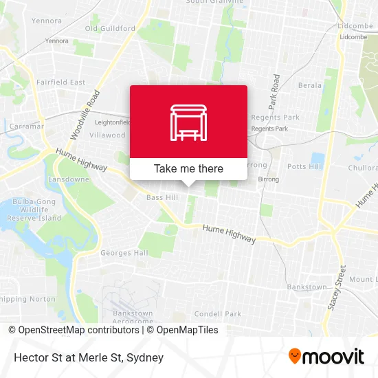 Mapa Hector St at Merle St