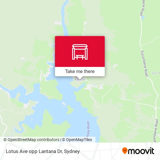 Lotus Ave opp Lantana Dr map
