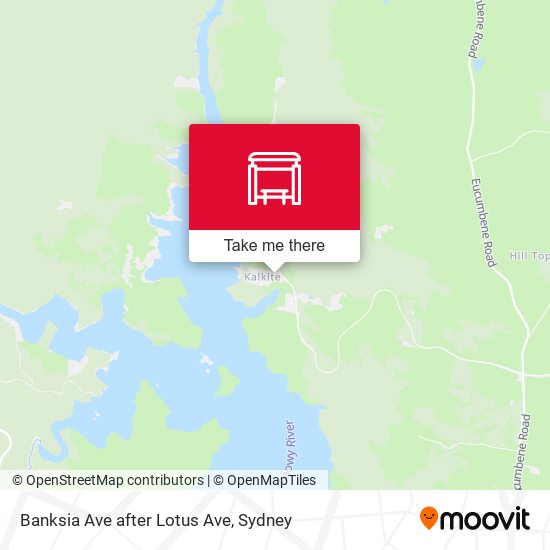 Banksia Ave after Lotus Ave map