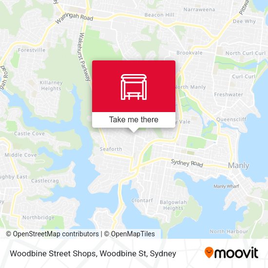 Woodbine Street Shops, Woodbine St map