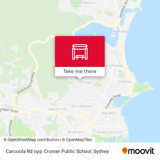 Carcoola Rd opp Cromer Public School map