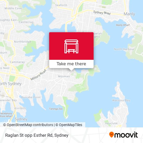 Raglan St opp Esther Rd map
