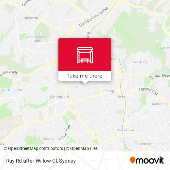Ray Rd after Willow Cl map