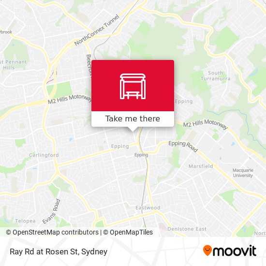 Ray Rd at Rosen St map