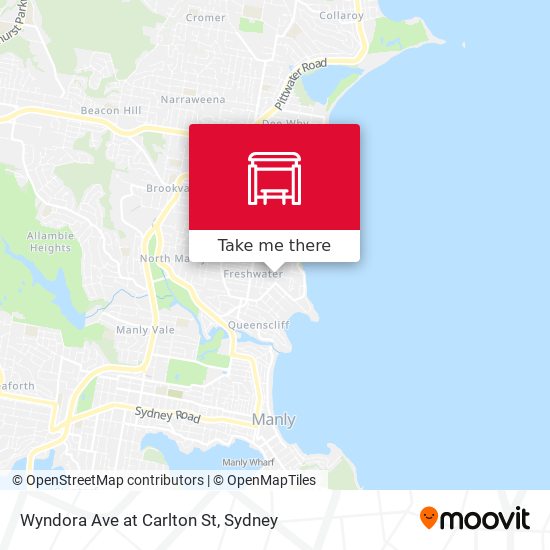 Wyndora Ave at Carlton St map