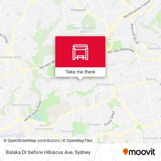 Balaka Dr before Hibiscus Ave map