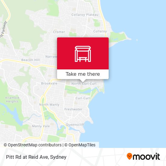 Pitt Rd at Reid Ave map
