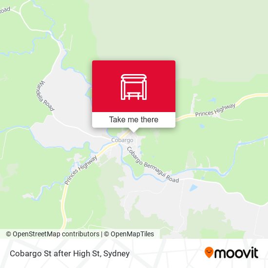 Cobargo St after High St map