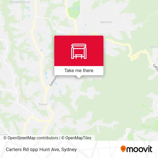 Carters Rd opp Hunt Ave map