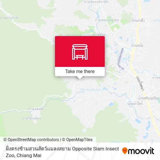ฝั่งตรงข้ามสวนสัตว์แมลงสยาม Opposite Siam Insect Zoo map
