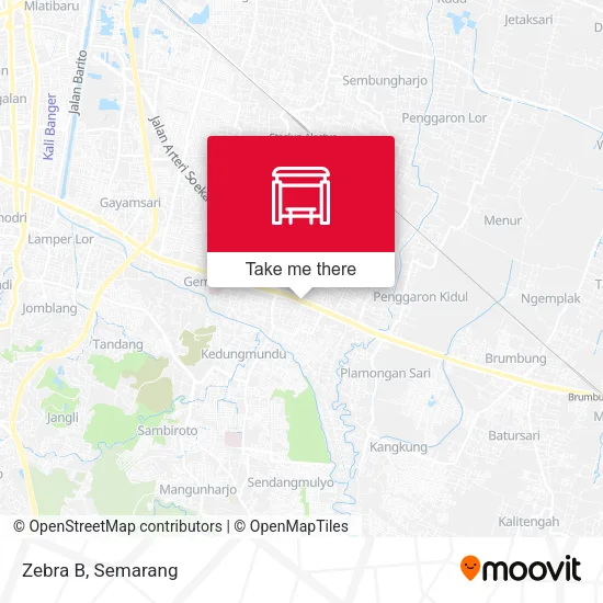 Zebra B map
