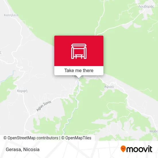 Gerasa map
