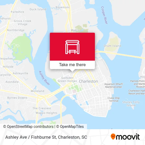Ashley Ave / Fishburne St map