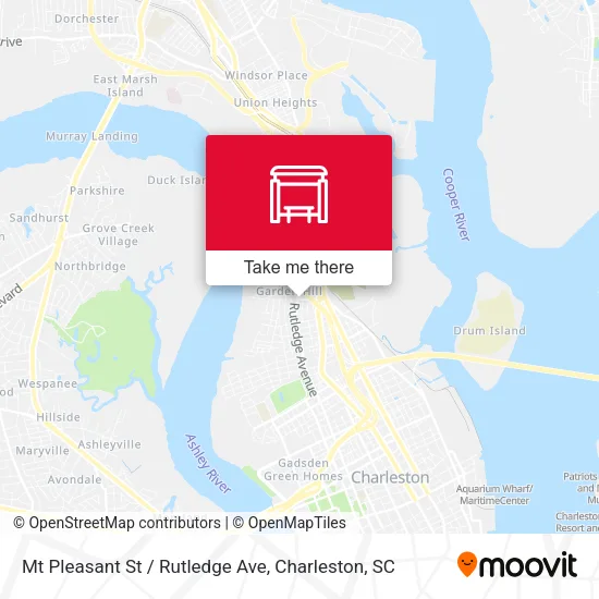 Mt Pleasant St / Rutledge Ave map