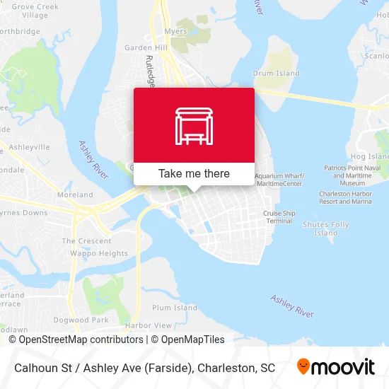 Calhoun St / Ashley Ave (Farside) map
