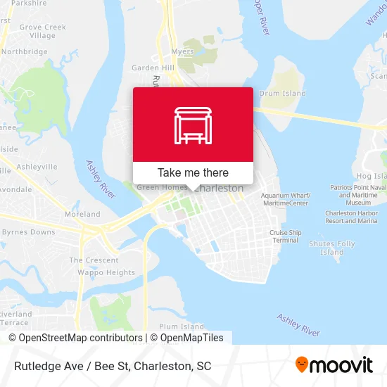 Rutledge Ave / Bee St map