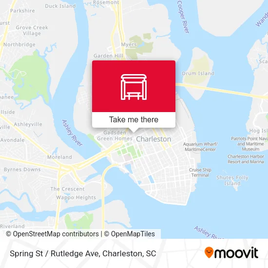 Spring St / Rutledge Ave map