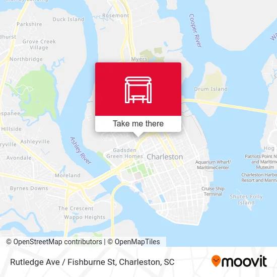 Rutledge Ave / Fishburne St map