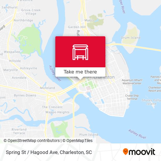Mapa de Spring St / Hagood Ave