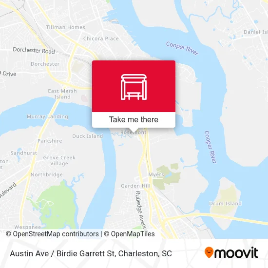 Austin Ave / Birdie Garrett St map