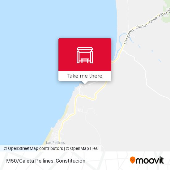 Mapa de M50/Caleta Pellines