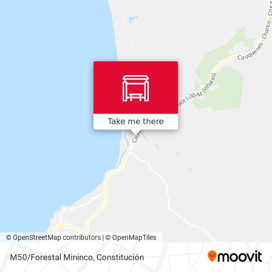 M50/Forestal Mininco map