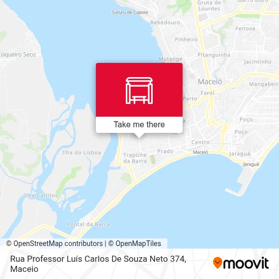 Rua Professor Luís Carlos De Souza Neto 374 map