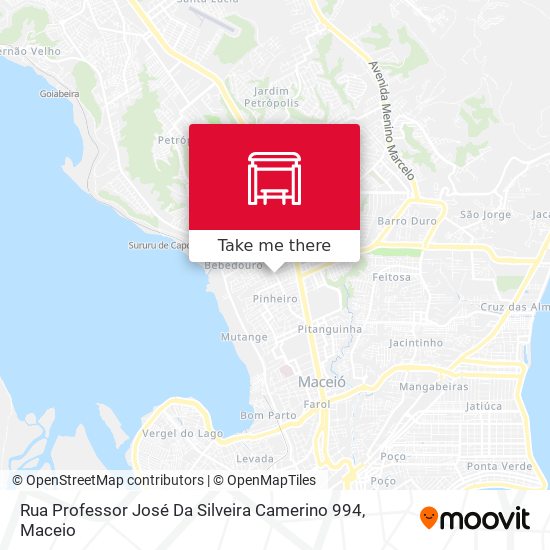 Rua Professor José Da Silveira Camerino 994 map