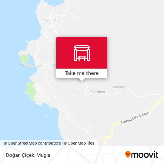 Doğan Çiçek map