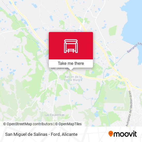 San Miguel de Salinas - Ford map