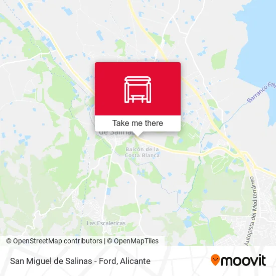 San Miguel de Salinas - Ford map