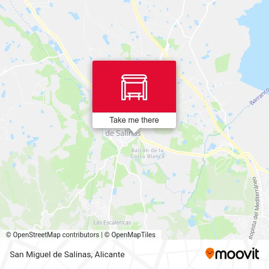San Miguel de Salinas map