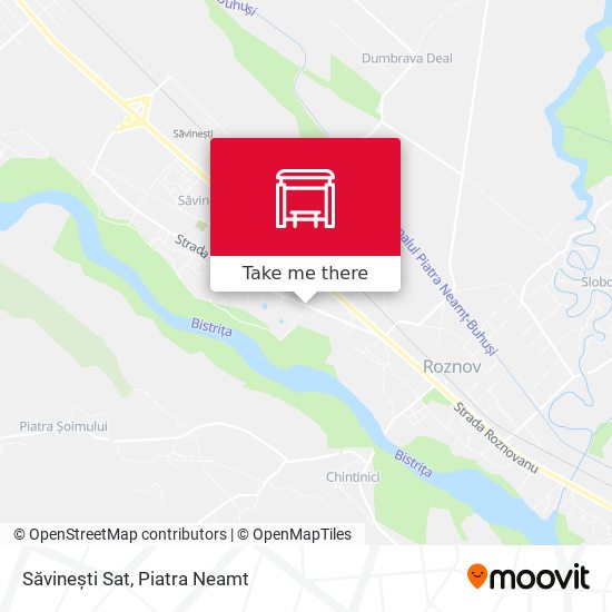 Săvinești Sat map