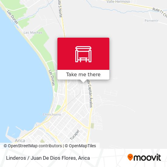 How to get to Linderos / Juan De Dios Flores in Arica by Bus?