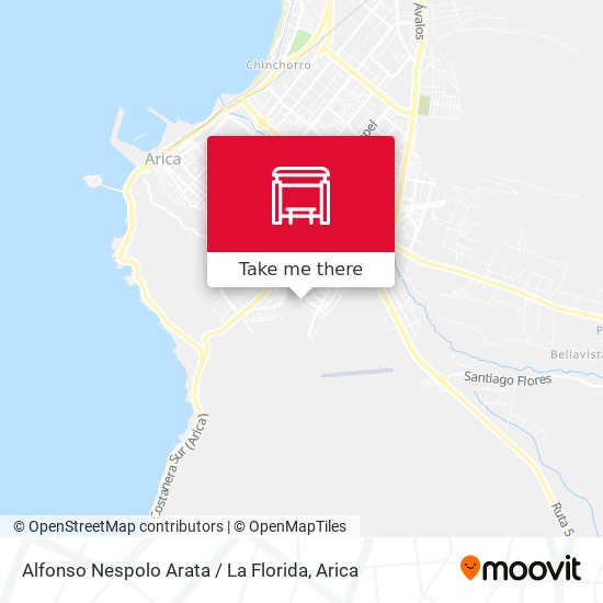 Mapa de Alfonso Nespolo Arata / La Florida