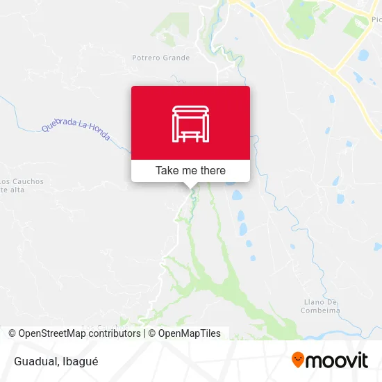 Mapa de Guadual