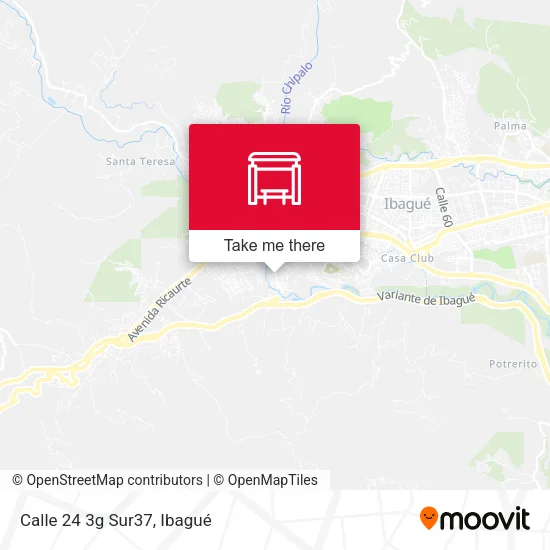 Mapa de Calle 24 3g Sur37