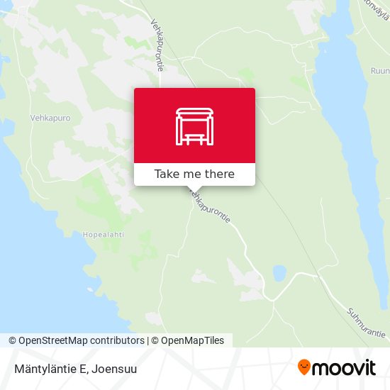 Mäntyläntie E map