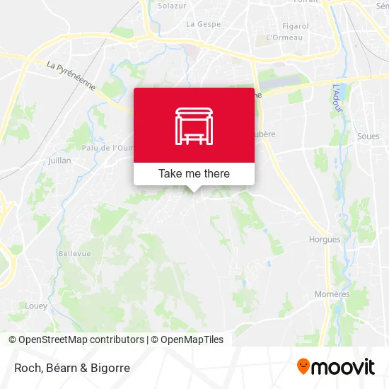 Roch map