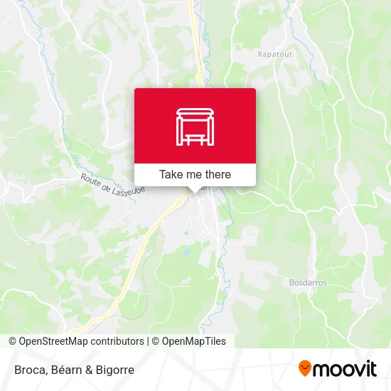 Broca map