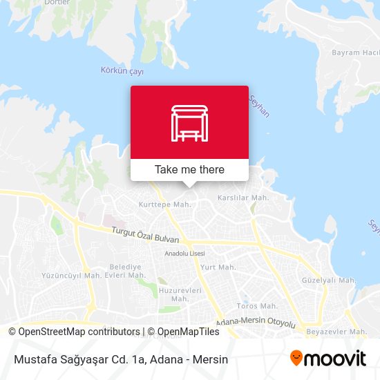 Mustafa Sağyaşar Cd. 1a map